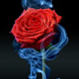 Meet your Posher, Alexandria